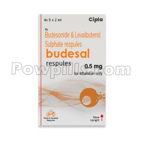Budesal Respules 0.5 Mg