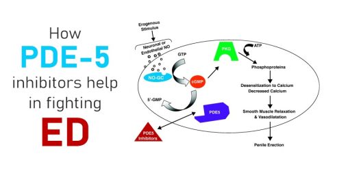How PDE-5 inhibitors help in fighting ED