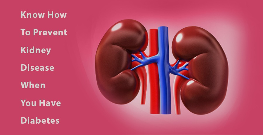 Diabetic kidney disease: Know how to prevent kidney disease when you have diabetes