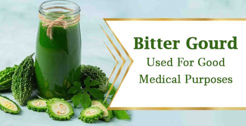 Bitter Gourd Used For Good Medical Purposes