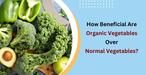 How Beneficial Are Organic Vegetables Over Normal Vegetables?
