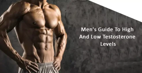 Men's Guide To High And Low Testosterone Levels