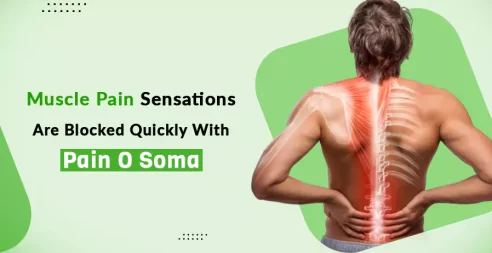 Muscle Pain Sensations Are Blocked Quickly With Pain O Soma