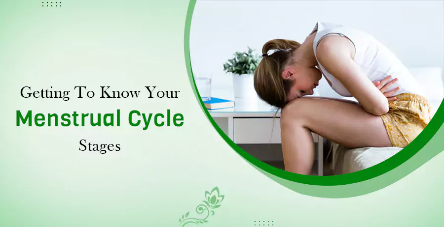 Getting to Know Your Menstrual Cycle Stages