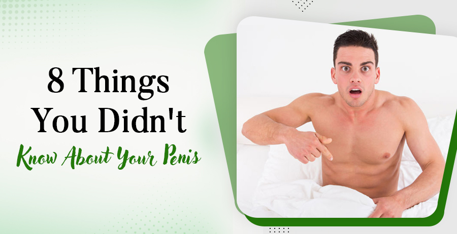 8 Things You Didn't Know About Your Penis