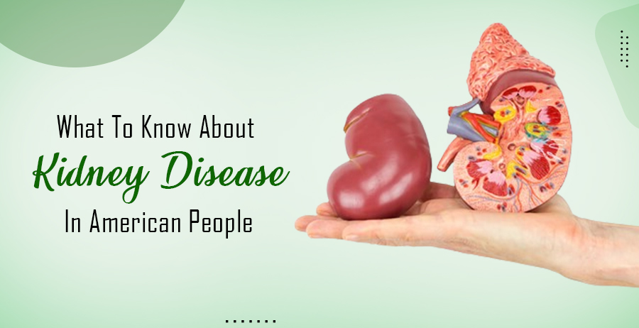 What To Know About Kidney Disease In American People