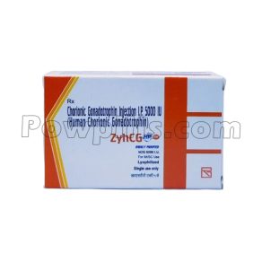 ZyhCG 5000