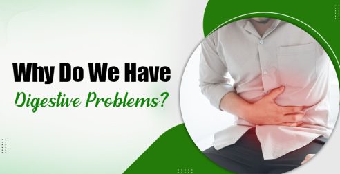 Why Do We Have Digestive Problems?