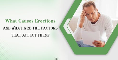 What Causes Erections And What Are The Factors That Affect Them?