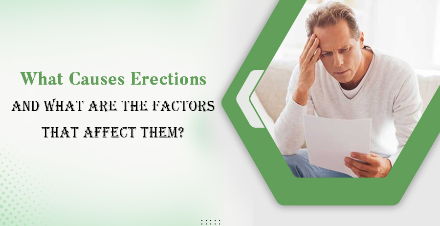 What Causes Erections And What Are The Factors That Affect Them? 1 What Causes Erections And What Are The Factors That Affect Them?