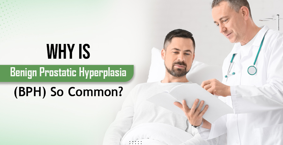 Why Benign Prostate Hyperplasia (BPH) Is So Common?