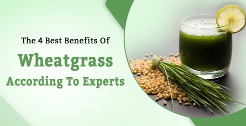 Benefits Of Wheatgrass According To Experts