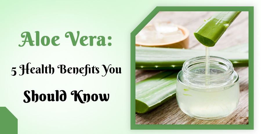 Aloe Vera- 5 Health Benefits You Should Know 1 Aloe Vera- 5 Health Benefits