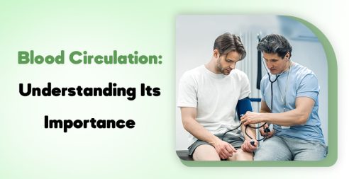 Blood Circulation