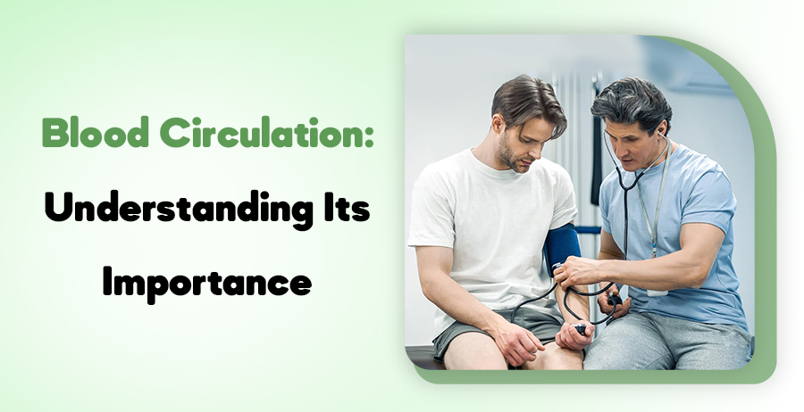 Blood Circulation