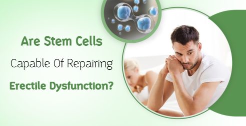 Stem Cells Capable Of Repairing ED