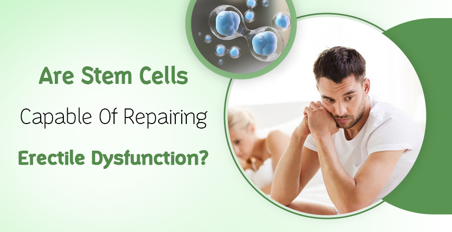 Stem Cells Capable Of Repairing ED