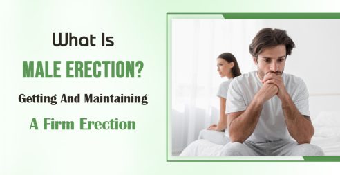 What Is Male Erection?