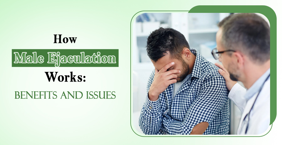 How Male Ejaculation Works