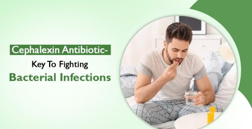 Cephalexin Antibiotic For Bacterial Infections