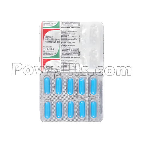 Bacipen (Ampicillin) 1 Bacipen (Ampicillin)