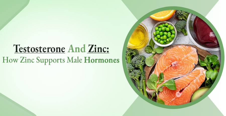 Testosterone And Zinc- How Zinc Supports Male Hormones 1 The Benefits of Zinc for Male Hormones Testosterone