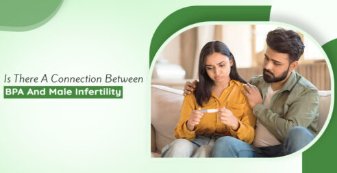 Connection Between BPA And Male Infertility