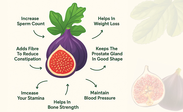 Figs Have Many Health Benefits For Men 3 Role Of Figs