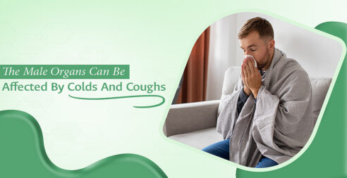 Male Organs Can Be Affected By Colds And Coughs
