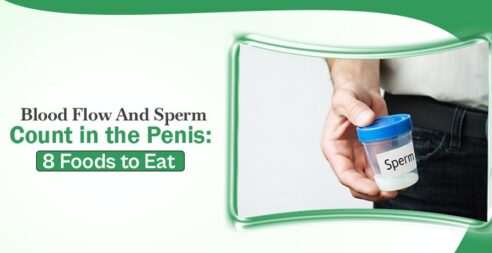 Blood Flow And Sperm Count In The Penis