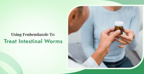 Fenbendazole To Treat Intestinal Worms
